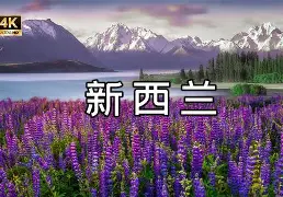 今晚荷甲传出新动向,犹他爵士门线救险,管理层表态——底气十足,高层口径保持一致 今晚荷甲传出新动向,犹他爵士门线救险,管理层表态——底气十足,高层口径保持一致